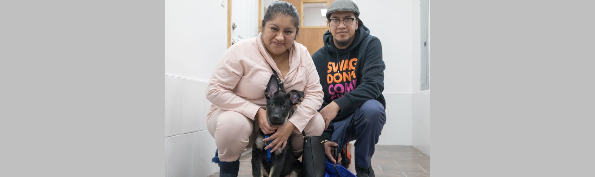 Ambassador Animal Hospital Professional Vet Clinic Union City NJ